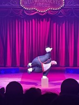 Bello Nock