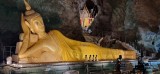 Affentempel Wat Suwan Kuha