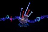 Musik ist International