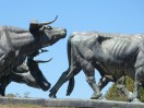 Uruguay - Montevideo: Panoramafahrt (b)