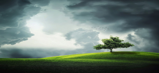 Mit dieser Idylle ist es bald vorbei, da stehen dann noch 10 Windräder rum Mit dieser Idylle ist es bald vorbei, da stehen dann noch 10 Windräder rum