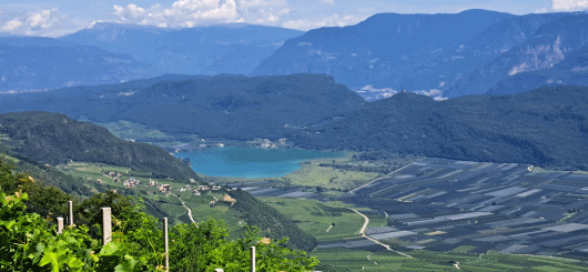 Traumblick zum Kalterer See