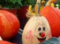  Seepark Zülpich - Herbstmarkt - Foto: Seepark Zülpich / Blatzheim 