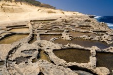 Gozo saline