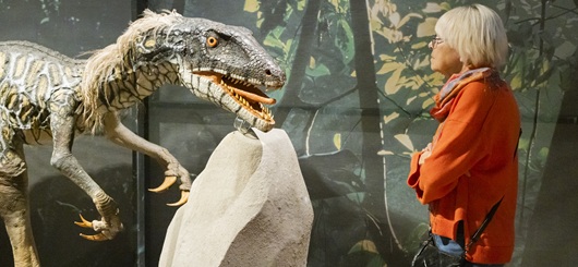 Blick in die Sonderausstellung "Saurier – Faszination Urzeit" in den Reiss-Engelhorn-Museen Mannheim.